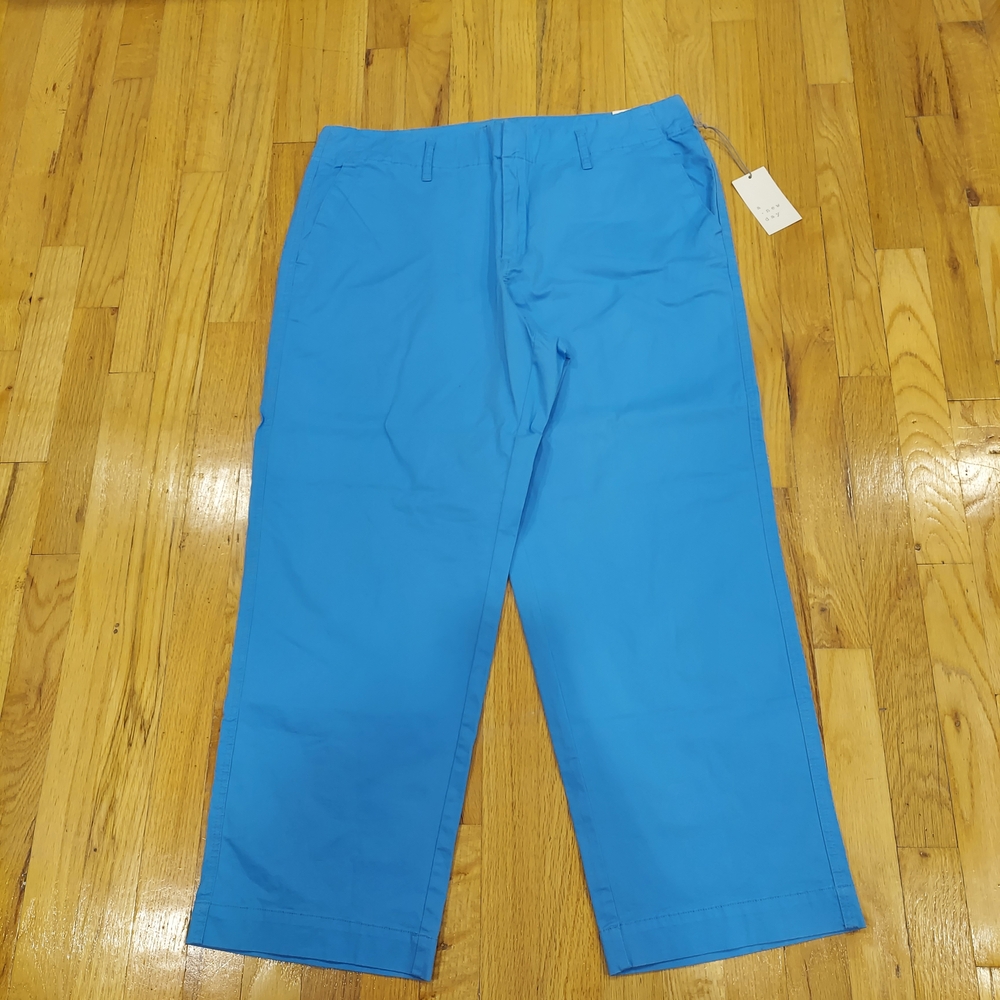NWT A New Day High Rise Hip & Thight Straight Leg Pants (Size: 16)